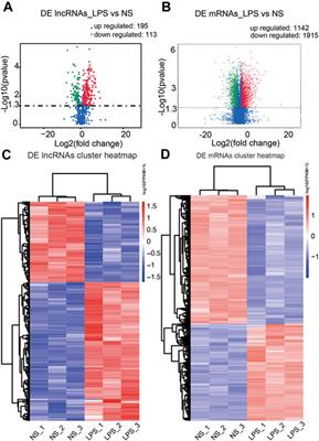 A Competitive Endogenous RNA Network Based on Differentially Expressed lncRNA in Lipopolysaccharide‐Induced Acute Lung Injury in Mice